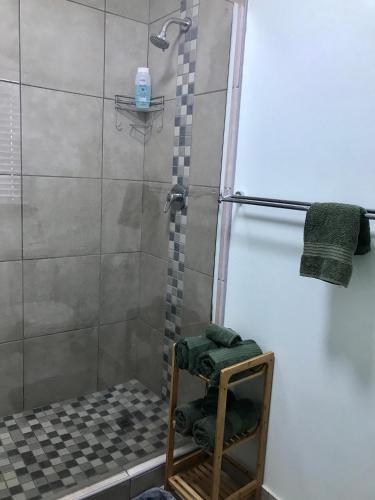 a bathroom with a shower with a towel rack at Green Leaf Cottage in Mtunzini