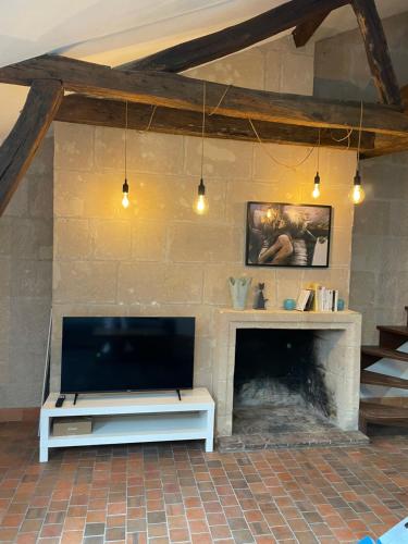 ein Wohnzimmer mit einem TV und einem Kamin in der Unterkunft La chambre de Baucis in Tours
