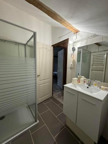 une salle de bain avec un lavabo et une douche en verre dans l'établissement GÎTE EMERAUDE, à Plaine