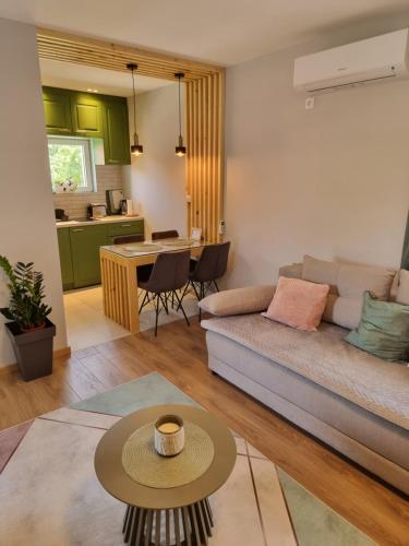 Kuchyň nebo kuchyňský kout v ubytování Luxor Apartmani 2