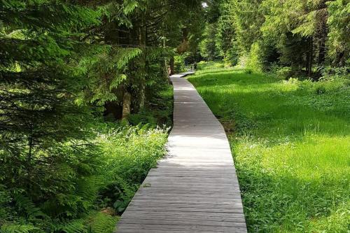 un chemin en bois au milieu d'une forêt dans l'établissement Duplex dans chalet, vue de rêve, 6 pers, 2 nuits minimum, à La Bresse