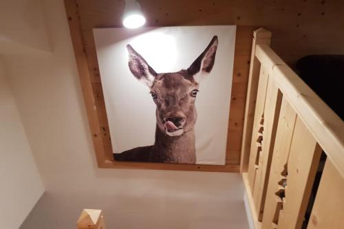 une photo d'un kangourou tirant la langue dans l'établissement Duplex dans chalet, vue de rêve, 6 pers, 2 nuits minimum, à La Bresse