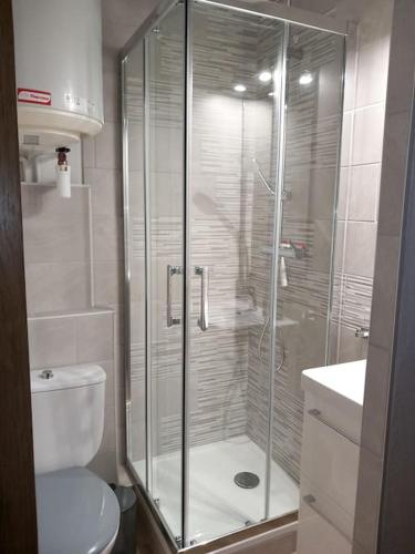 une salle de bain avec une douche avec des toilettes et un lavabo dans l'établissement Studio climatisé, une place de parking à la Faviére, à Bormes-les-Mimosas