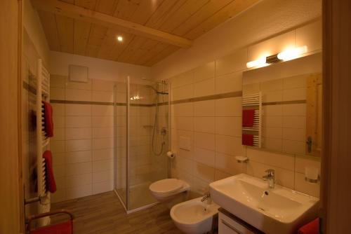 a bathroom with a sink and a toilet and a shower at Pircherhof in San Candido