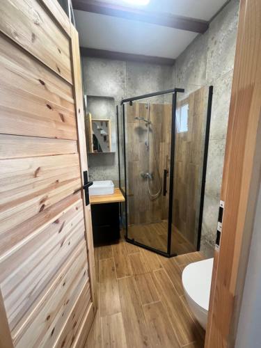 a bathroom with a shower stall and a toilet at Letnia Ostoja Wieprz nad Jeziorakiem in Zalewo