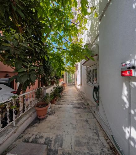 an alley with potted plants on the side of a building at Katia Athens Apartment in Athens