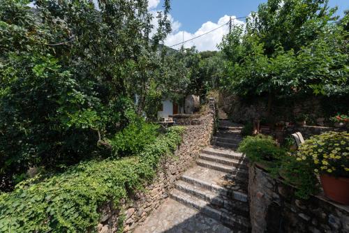 Traditional Stonehouse Kalamata Verga