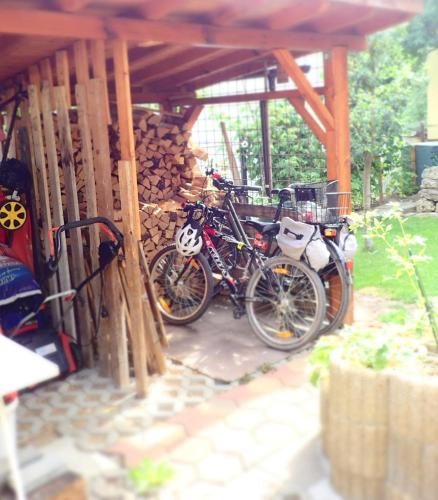 two bikes are parked under a wooden structure at Ubytovanie Clematis in Trenčianske Teplice