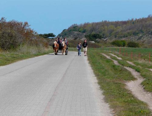 a group of people riding on a horse drawn carriage at Ferienhaus Insel Rügen in Glowe