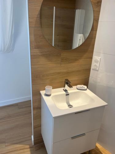 une salle de bain avec un lavabo et un miroir dans l'établissement Maison de Pays rénovée, à Pleurtuit