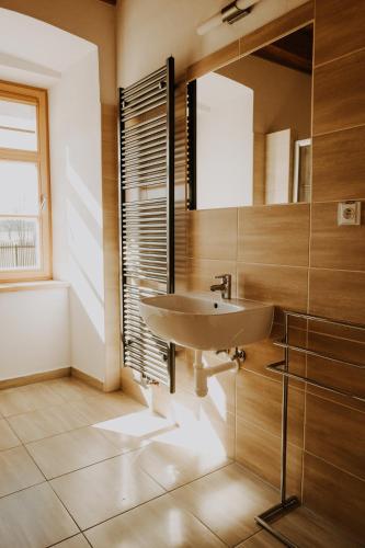 a bathroom with a sink and a mirror at Penzion Fořtovna in Častrov