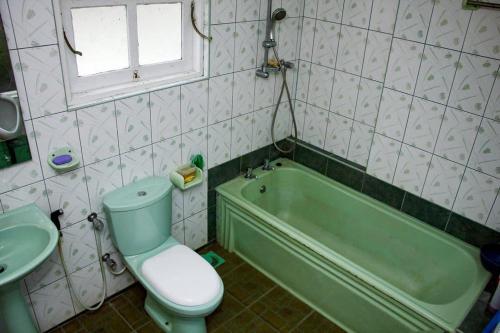 a bathroom with a green tub and a toilet and a sink at Ankelipitiya in Kotadeniyawa