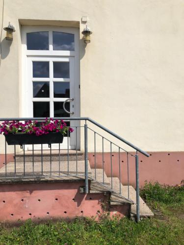 una porta con una finestra e un vaso di fiori di Apartment #1 a Olsbrücken