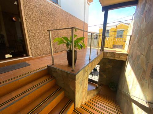 a plant in a pot sitting on a balcony at Casa Bizzacchi Pinhal in Espirito Santo Do Pinhal
