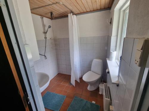 a bathroom with a toilet and a sink at A cozy house to stay in Vandel in Vandel