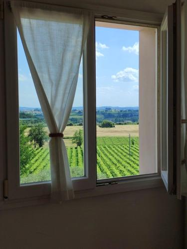 a window with a view of a vineyard at Nice apartments lake view & free parking in Pastrengo
