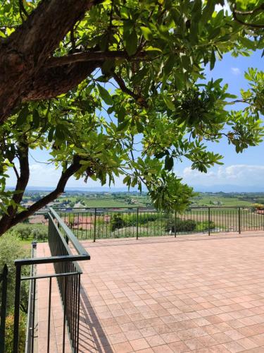 a walkway with a tree and a fence at Nice apartments lake view & free parking in Pastrengo