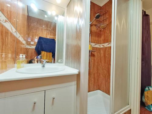 a bathroom with a sink and a shower at Le nid d'oeillet, T3 bis, wifi, jardin commun in Luchon