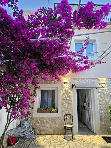 Κήπος έξω από το Apartments Katičin