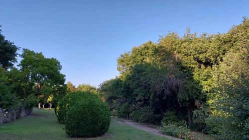 a row of bushes and trees in a park at Il Casale Del Sogno in Ardea