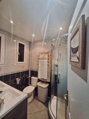 La salle de bains est pourvue de 2 toilettes et d'une douche en verre. dans l'établissement Charmante maison à Rueil-Malmaison, à Rueil-Malmaison