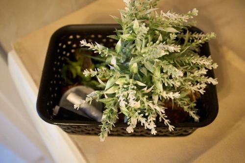 a black basket filled with white flowers on a counter at Blue Dreams Astros in Paralio Astros