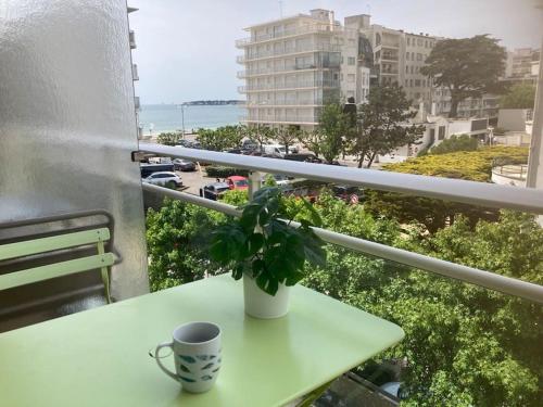 Studio Terrasse Vue Mer