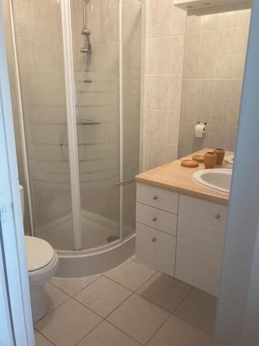 une salle de bain avec une douche, des toilettes et un lavabo dans l'établissement Studio Terrasse Vue Mer, à La Baule