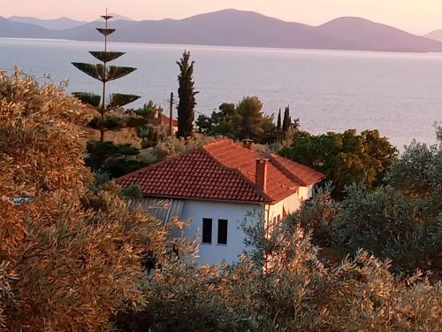a small white house on the side of the water at Margianou Seaview Apartments 3 & 4 in Kálamos