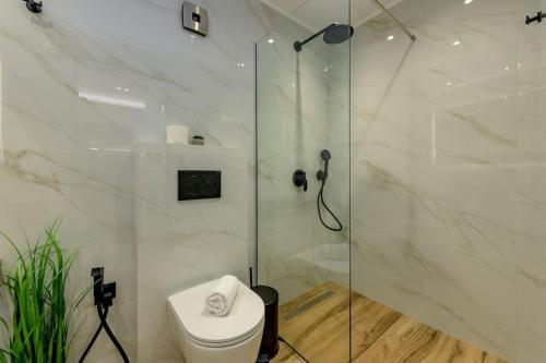 a bathroom with a toilet and a glass shower at 2 Brother's Suites I in Zakynthos Town