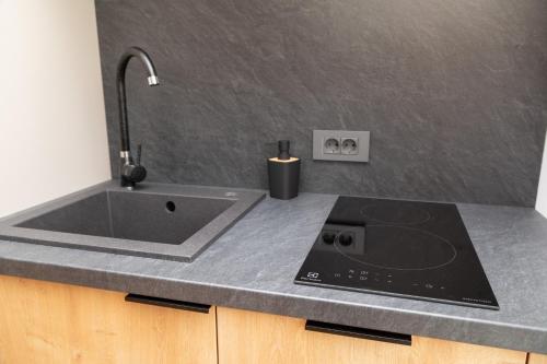 a kitchen with a sink and a counter top at SEKLER Apartments in Cluj-Napoca