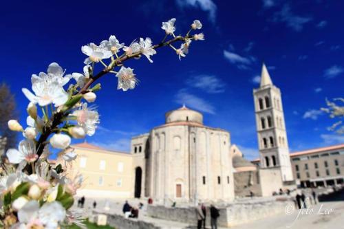 Spacious apartment Mauro & Pia in center of Zadar