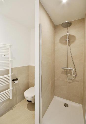 a bathroom with a shower and a toilet in it at Ti Melen in Morlaix