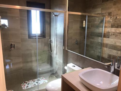 a bathroom with a shower and a toilet and a sink at CÓMODA CASA FAMILIAR Punta Lobos in Pichilemu
