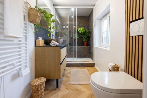 une salle de bain avec une douche, des toilettes et un lavabo dans l'établissement Eden Urbain hypercentre Rouen, à Rouen