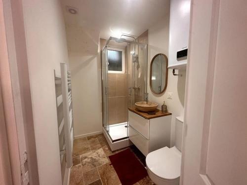 une salle de bain avec une douche, des toilettes et un lavabo dans l'établissement AE- Charmant studio au coeur de la Vieille Ville, à Villeneuve-Loubet