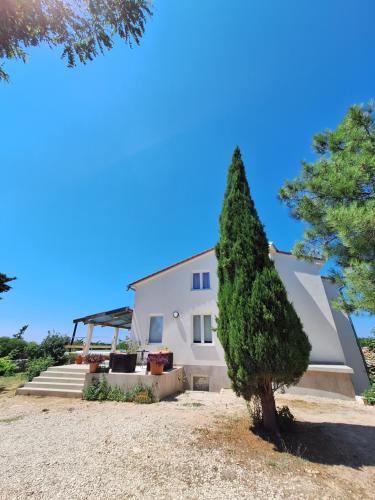 Villa Darije