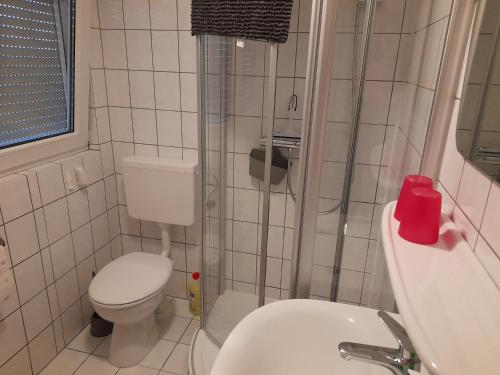 a small bathroom with a toilet and a sink at Casa Tina in Homberg