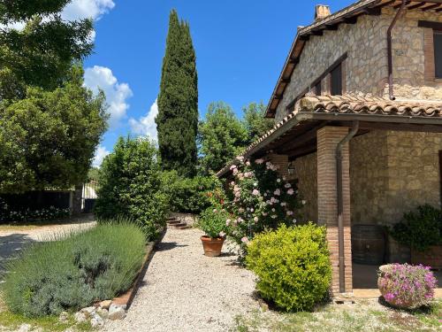 Κήπος έξω από το Casa di Dario