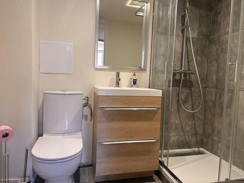 une salle de bain avec toilettes, douche et lavabo dans l'établissement AG- Le Charme de la Vieille Ville pour 4 personnes, à Villeneuve-Loubet