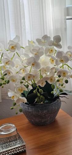 a vase filled with white flowers on a table at SOBE/ROOMS RIVA in Zadar