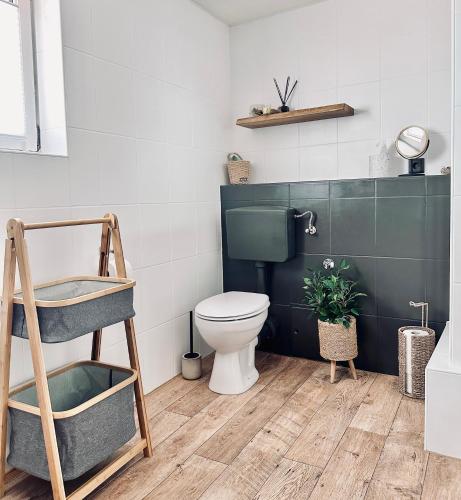 a bathroom with a toilet and a green wall at 1 - 4 Pers Apartment Jeßnitz, Mawoi Living in Jeßnitz