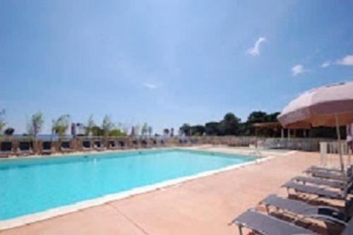 une grande piscine avec des chaises et un parasol dans l'établissement Aqua-linda, à Poggio-Mezzana