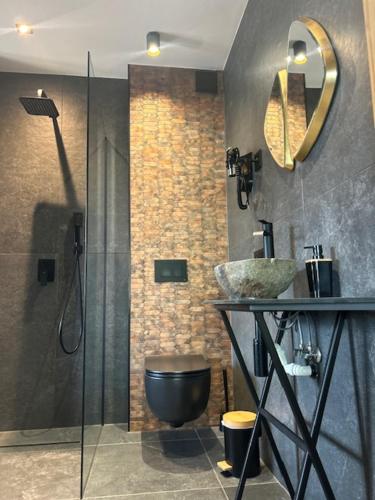 a bathroom with a shower and a toilet and a sink at Schronisko Zmysłów - Apartament 6 in Kościelisko
