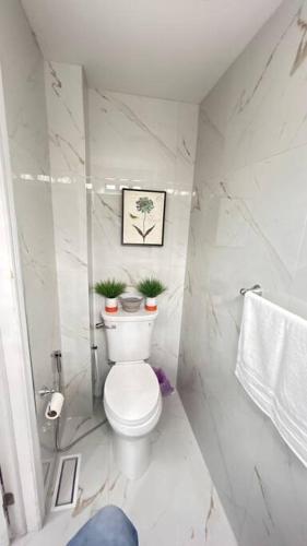 a bathroom with a toilet with two plants on it at Super Luxury Family Home - 3 Bedrooms, 1 Full Bathroom and 1 Half Washroom with Free Parking, Wifi, Netflix in Toronto