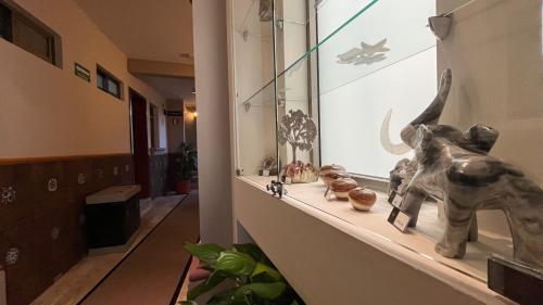 Fotografie z fotogalerie ubytování Hotel Quirasco v destinaci Xalapa