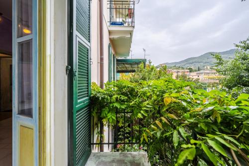 a window of a building with green shutters and plants at TERRAZZA PORTOFINO Splendido appartamento con piscina idromassaggio - PARCHEGGIO GRATIS in Santa Margherita Ligure