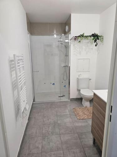 une salle de bain avec douche et toilettes dans l'établissement grand appartement 2 pièces en résidence, à Jouy-le-Moutier