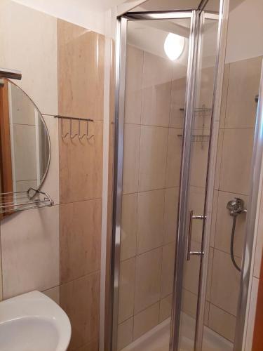 a bathroom with a shower and a toilet and a sink at Apartmani Roko in Ražanac