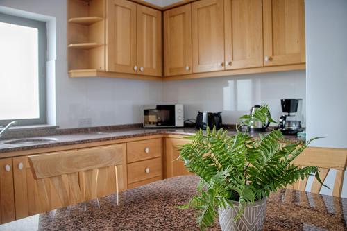 Kuchyň nebo kuchyňský kout v ubytování Spacious Corner Maisonette - Blessings